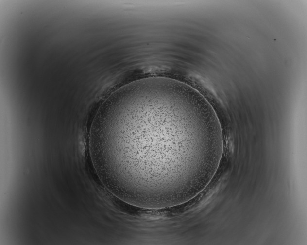 X0000094961012200712061307