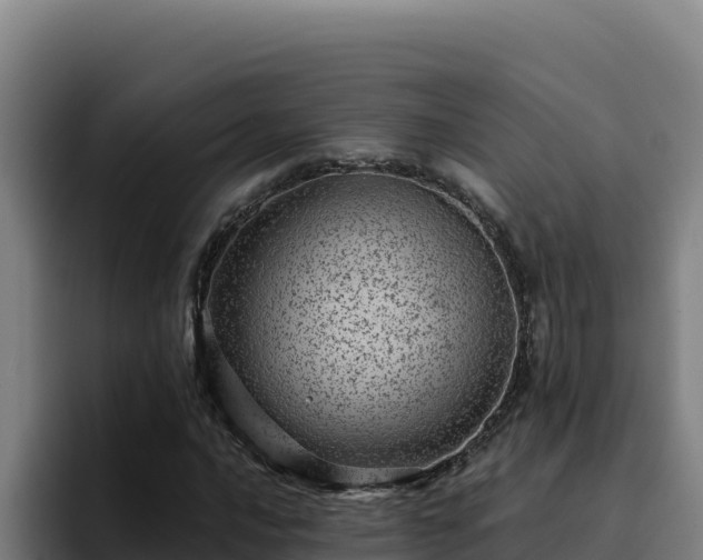 X0000094961016200712061307