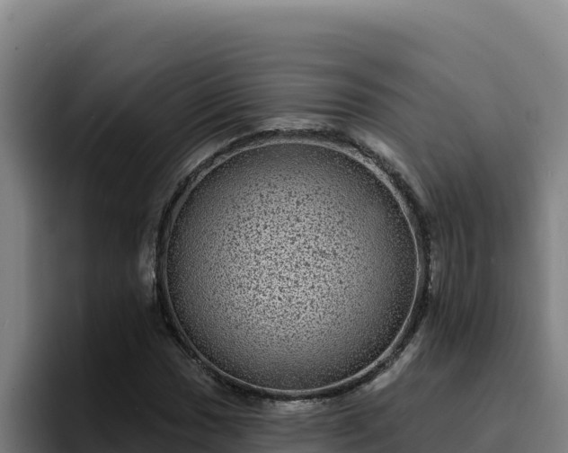 X0000094961017200712061307