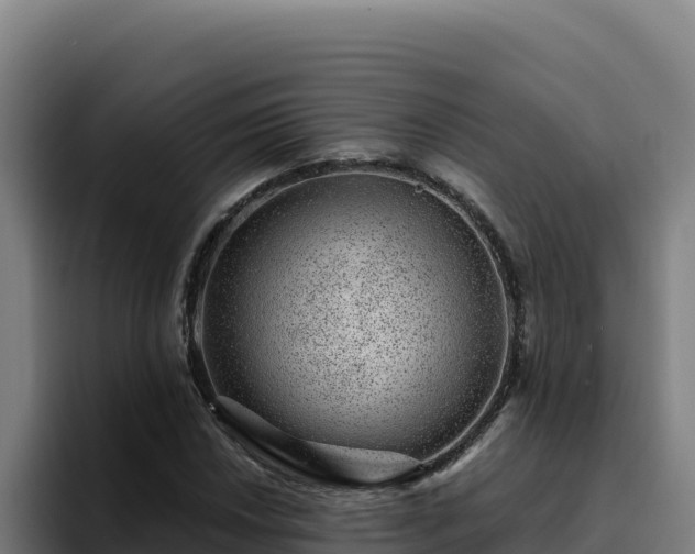 X0000094961018200712061307