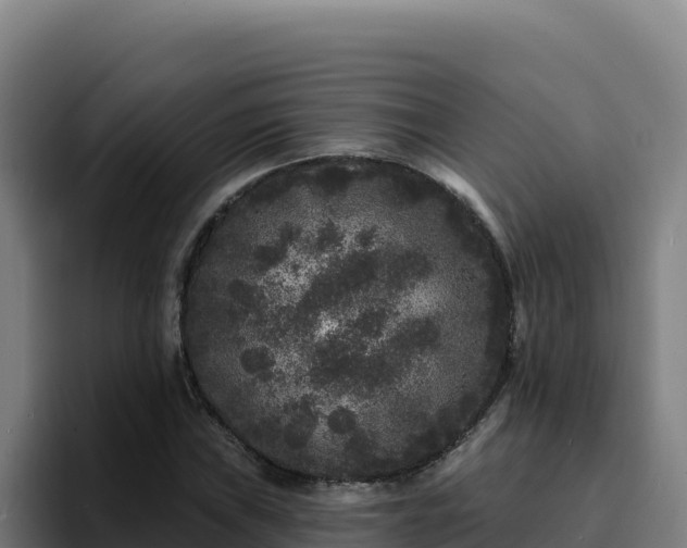 X0000094961019200712061307