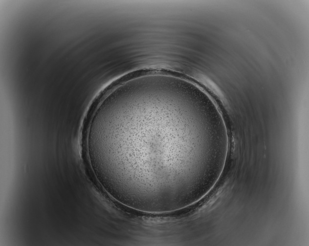 X0000094961020200712061307