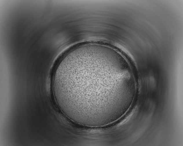 X0000094961021200712061307