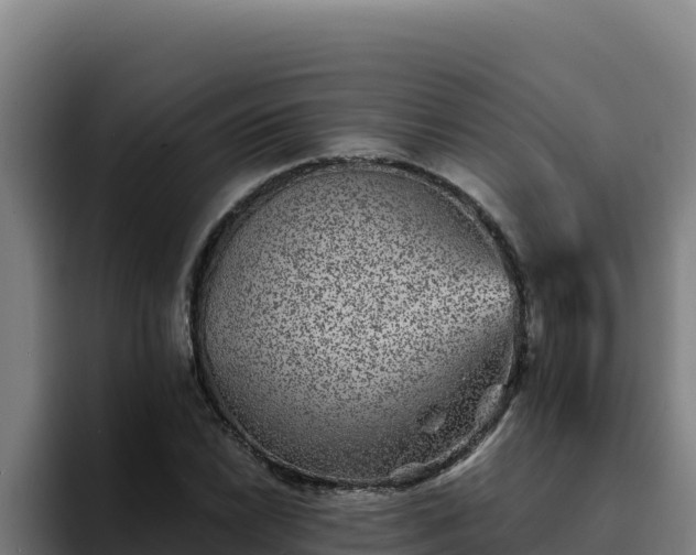 X0000094961022200712061307