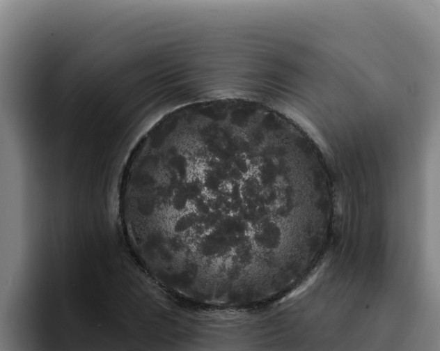 X0000094961023200712061307