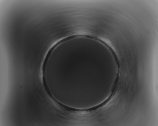 X0000094961024200712061307