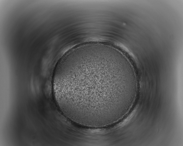 X0000094961025200712061307