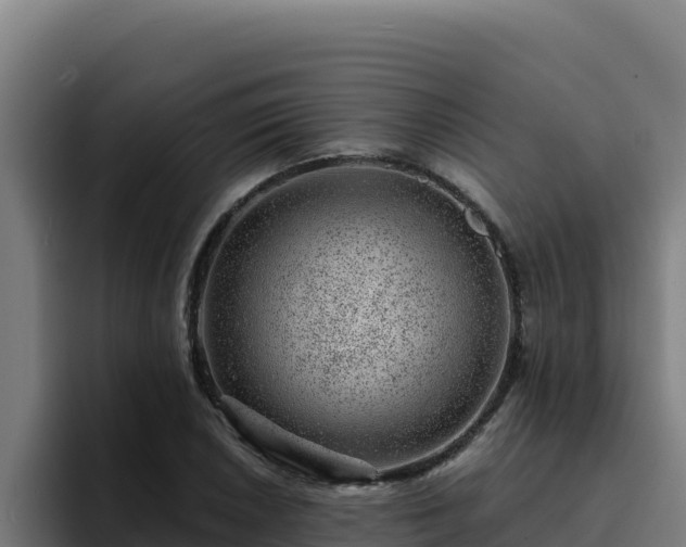 X0000094961026200712061307