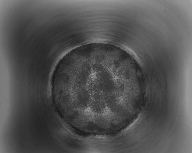 X0000094961027200712061307