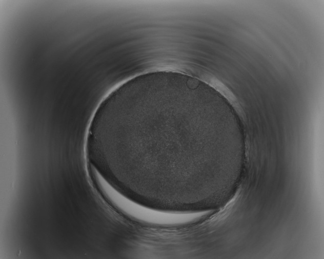 X0000094961028200712061307