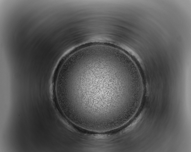 X0000094961029200712061307