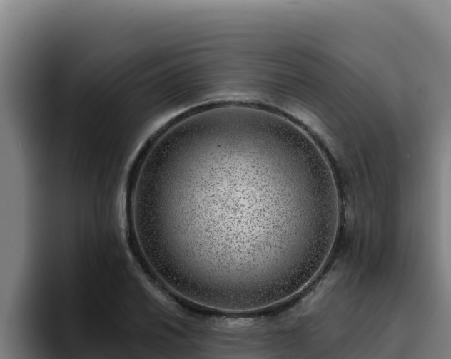 X0000094961030200712061307