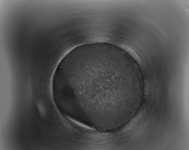 X0000094961031200712061307