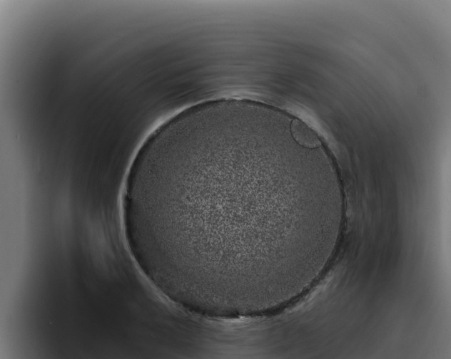 X0000094961032200712061307