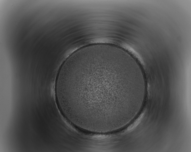 X0000094961033200712061307