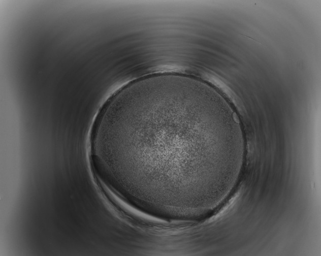 X0000094961034200712061307