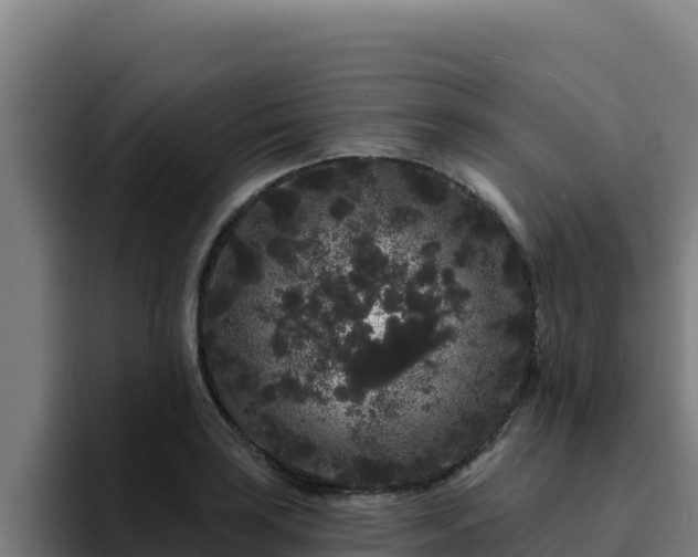 X0000094961035200712061307