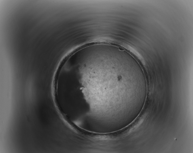 X0000094961037200712061307