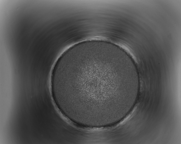 X0000094961038200712061307