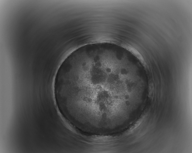 X0000094961039200712061307