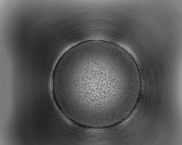 X0000094961040200712061307