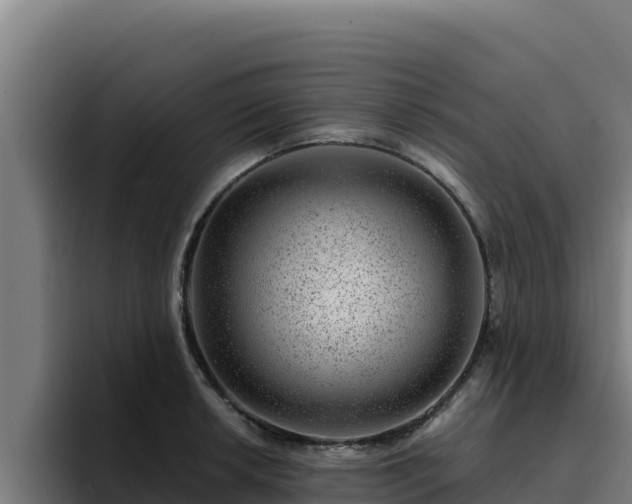 X0000094961042200712061307