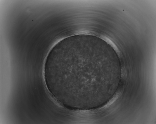 X0000094961043200712061307