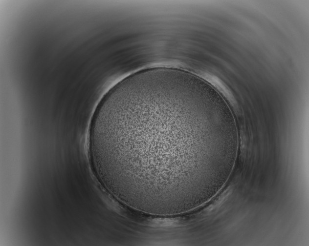 X0000094961044200712061307