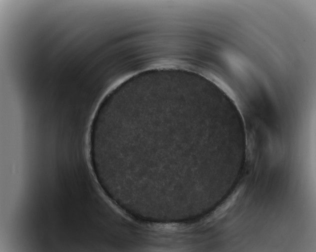 X0000094961045200712061307