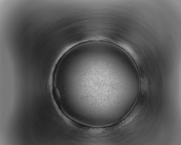 X0000094961046200712061307