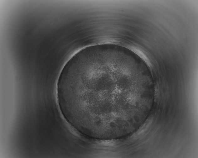 X0000094961047200712061307