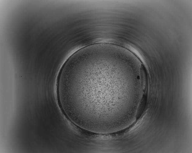 X0000094961050200712061308