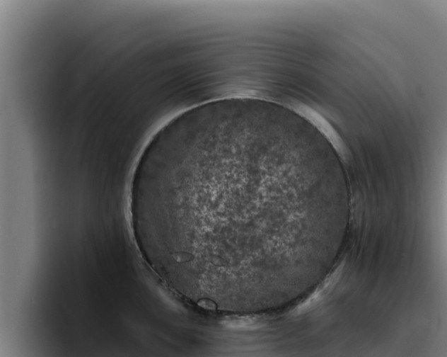 X0000094961051200712061308