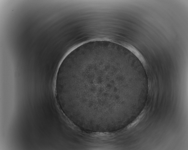 X0000094961052200712061308