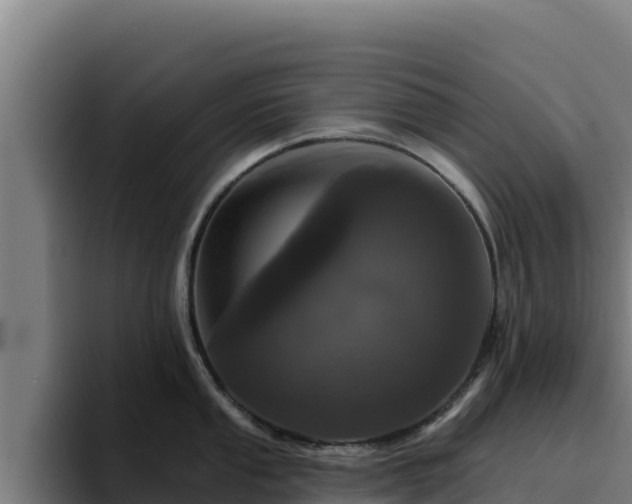 X0000094961053200712061308