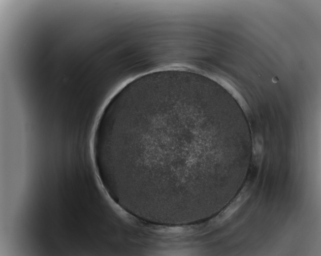 X0000094961054200712061308