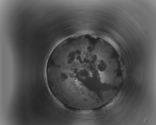 X0000094961055200712061308