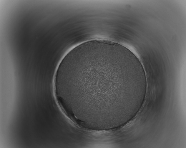 X0000094961056200712061308