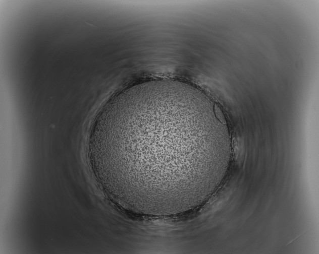 X0000094961057200712061307