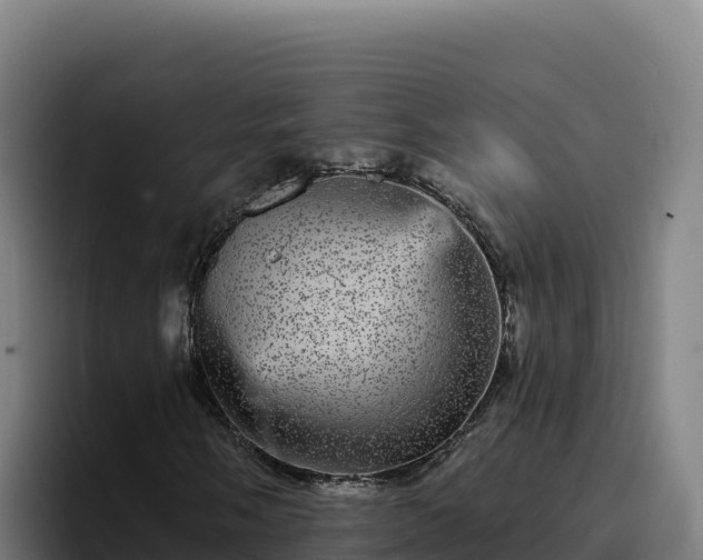 X0000094961058200712061307