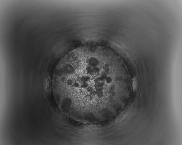 X0000094961059200712061307