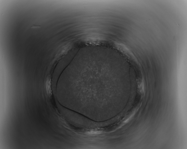 X0000094961060200712061307