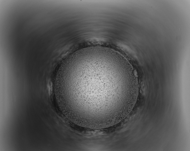 X0000094961061200712061307