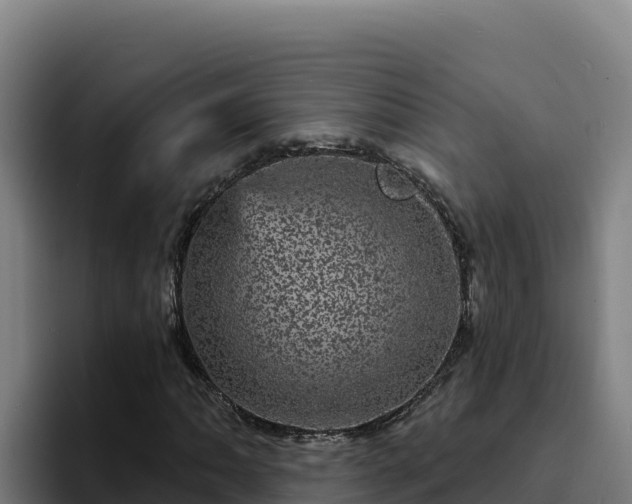 X0000094961062200712061307