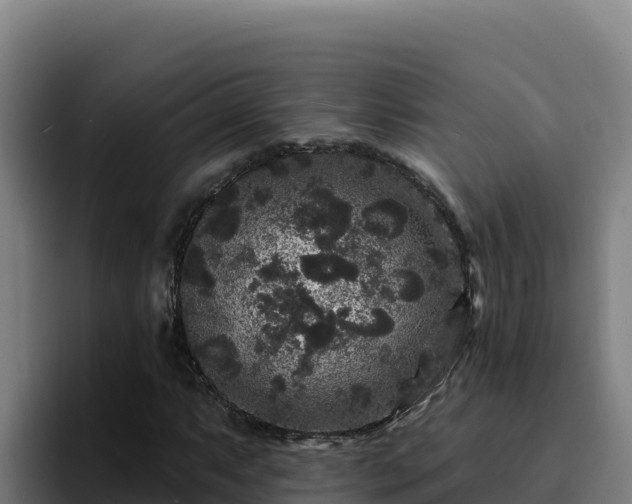 X0000094961063200712061307