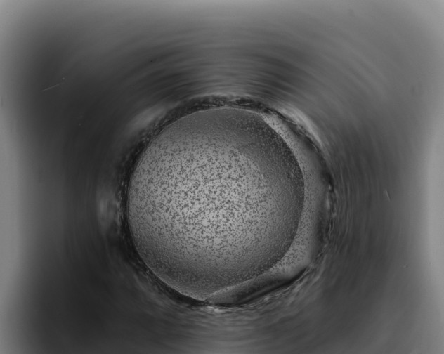 X0000094961064200712061307