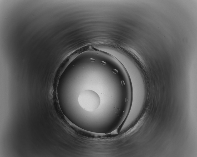 X0000094961065200712061307