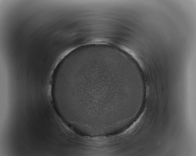 X0000094961066200712061307