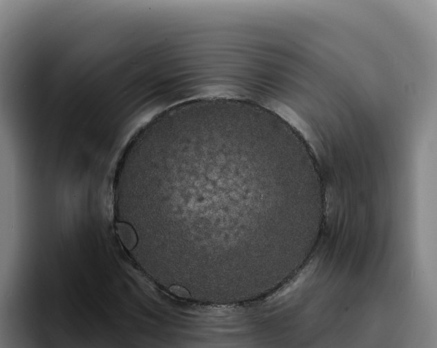 X0000094961067200712061307