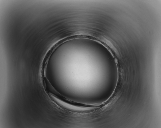 X0000094961068200712061307